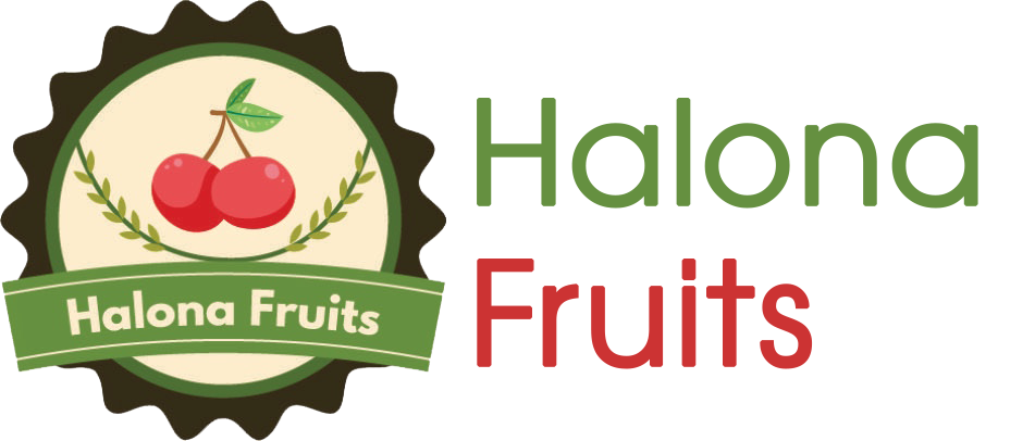 Chuyên cung cấp thực phẩm sạch, chất lượng, trái cây nhập khẩu | Halona Fruits